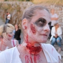 Prijavnica za 47. Međunarodni senjski ljetni karneval