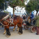 Senjani blagdanskim druženjem ispratili 2018. godinu