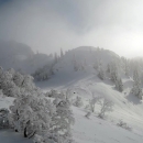 To mogu doista rijetki