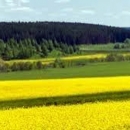 Novac i za cvjetne i travne trake