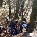 Zajedno čistimo Plitvička jezera 