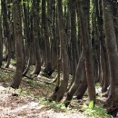 Dodjela UNESCO-vih povelja NP Paklenica i NP S. Velebit