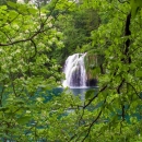 Obilježen Tjedan parkova Hrvatske u NP Plitvička jezera 