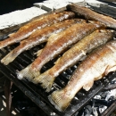 Eko etno Gacka počinje u petak večer