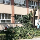 Rekli su nam neki da ih ne će biti ...