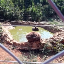 Eh, kako li je lijepo biti - medvjed