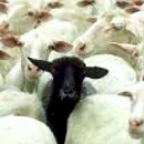 EU reže poticaje seljacima