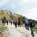 Planinarenje na Golu Plješivicu i na Mrsinj - u nedjelju