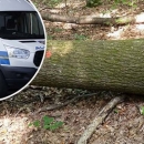 Opet dosta prometnih