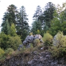Velebitske šume - Svjetska prirodna baština 