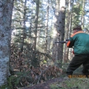 Lovačko društvo "Ravna Gora" iz Sinca uspješno okončala zimsku lovnu sezonu 