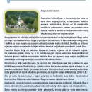 Bilten Majke Bažjke Krasnarske - Velika Gospa Krasno 2018.