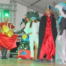 Uspješno održana 3.večer 47. Međunarodnog senjskog ljetnog karnevala 