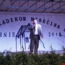 Brinjsku smotru folklora zajednički otvorili Župan Milinović i Načelnik Fumić 
