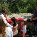 Foto galerija: kako je Fortica ugostila Crvenkapicu