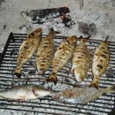 Ribarska fešta u Svetom Jurju, 07. srpnja 