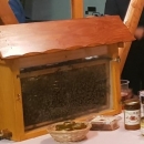 Jagma za Medoladom