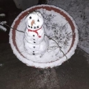 Iz petnjaka rastu i... snjegovići