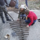 Još jedan neobičan bor