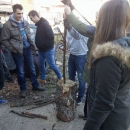 Još jedan neobičan bor