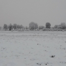 Snježna prognoza pogodila!