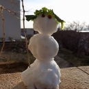 Evo i Primoraca!