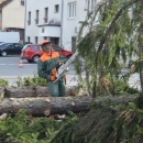Zašto su uklonjene srednjoškolske smreke? 