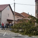 Zašto su uklonjene srednjoškolske smreke? 