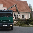 Zašto su uklonjene srednjoškolske smreke? 