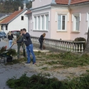 Zašto su uklonjene srednjoškolske smreke? 