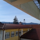 Zašto su uklonjene srednjoškolske smreke? 