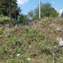 Sizifovska posla - vječna borba s vegetacijom