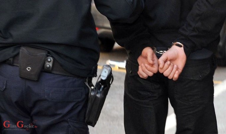 Uhićen i pritvoren zbog teške krađe, usput pružao otpor