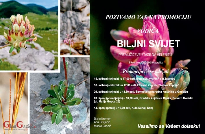 Biljni svijet Premužićeve staze na Velebitu Biljni svijet Premužićeve staze na Velebitu
