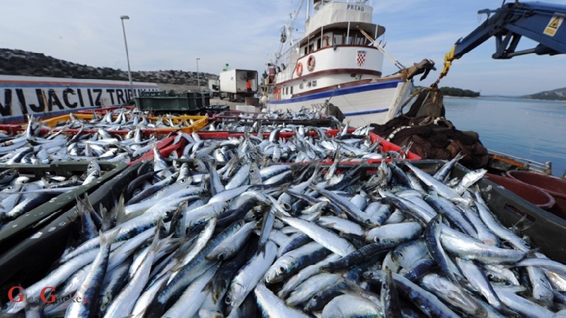 Digitalno ribarstvo postaje stvarnost – otvoren Portal gospodarskog ribolova