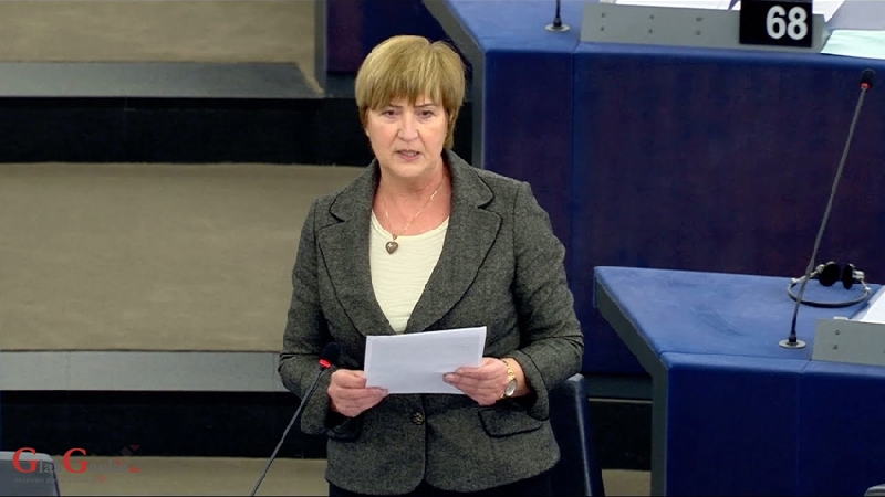 Tomašić: Vrijeđa me da zaboravljate srbočetničku agresiju na Hrvatsku