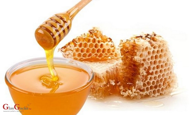 Školski medni dan s hrvatskih pčelinjaka postaje tradicija
