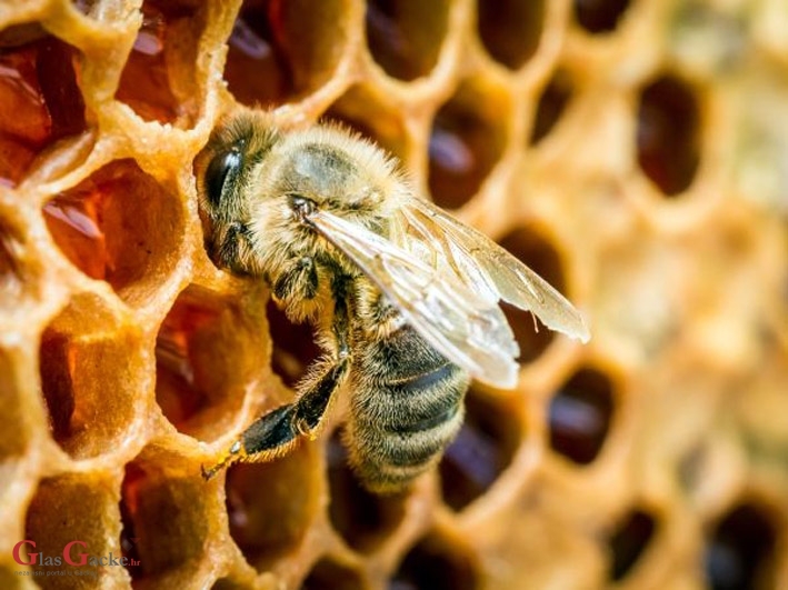 Namireni pčelari iz poticaja
