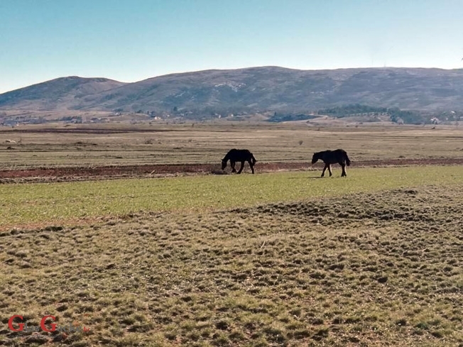 1 : 6 u korist prometnih nesreća