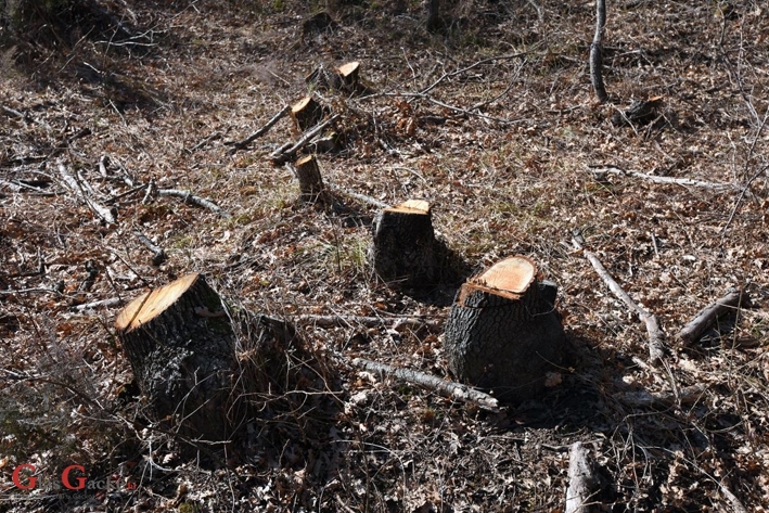 Dva kaznena, tri prometne i dva javna reda i mira Dva kaznena, tri prometne i dva javna reda i mira
