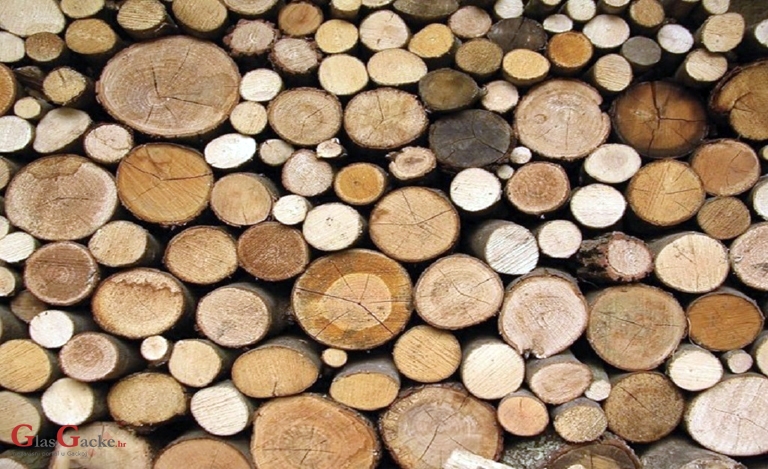 Hoće li mediji ishoditi otkaz učiteljici?