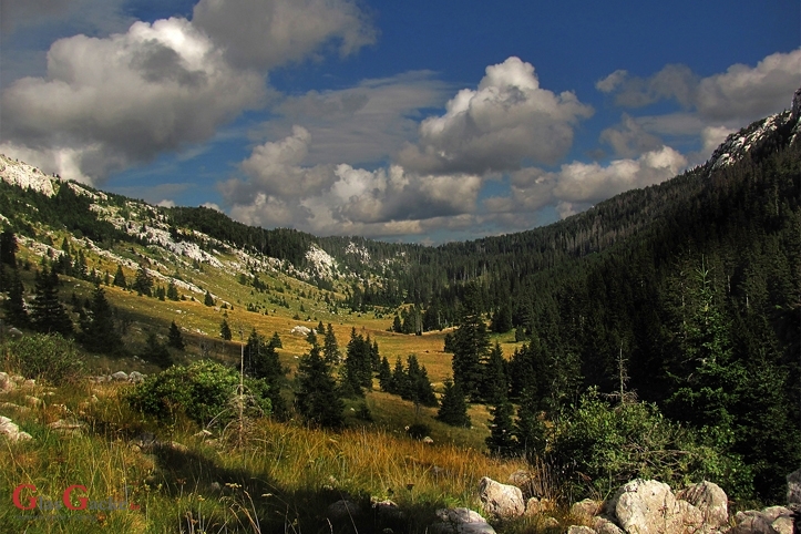 Zbog korone NP S. Velebit otkazuje volonterski program Zbog korone NP S. Velebit otkazuje volonterski program