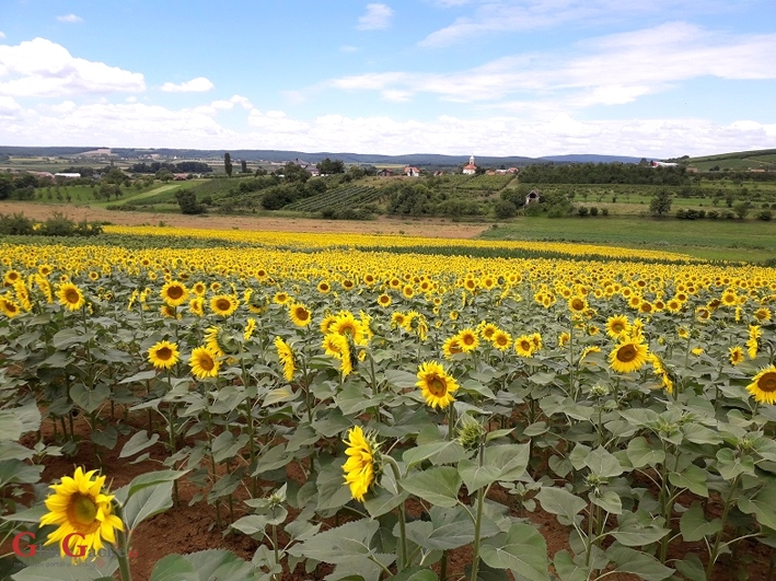 Je li vrijeme da krenemo s projektom ‘Hrvatska zeleno-plava transverzala’?