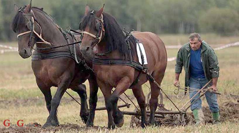 Hoćemo li se opet dohvatiti pluga i motike?
