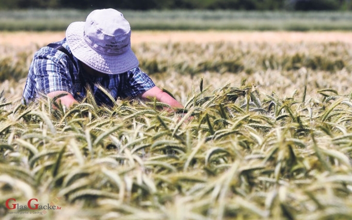 O dodjeli potpora braniteljskim zadrugama O dodjeli potpora braniteljskim zadrugama