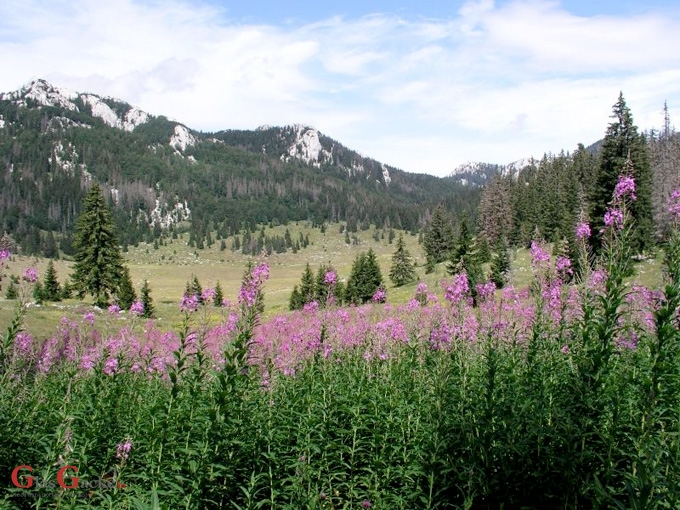 Edukativni nagradni kviz NP S. Velebit