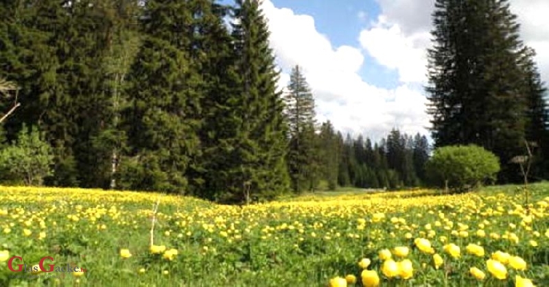 Rezultati rođendanskoga kviza NP Sjeverni Velebit