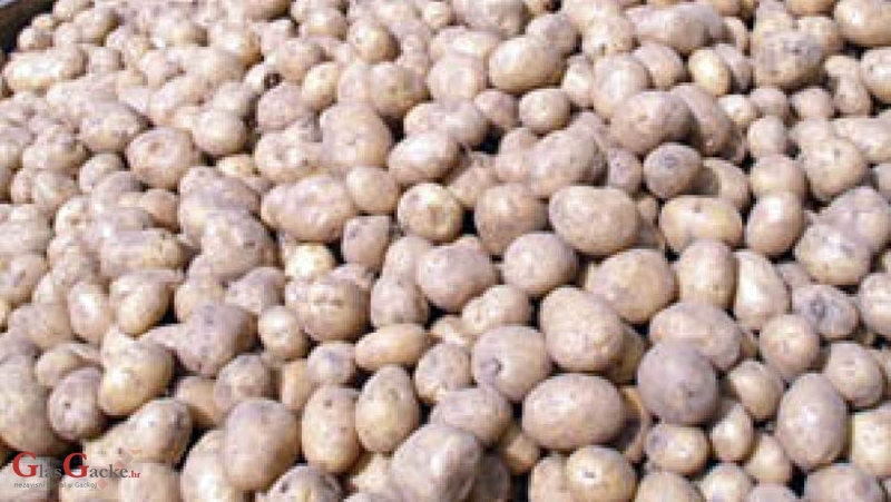 Proizvođačima krumpira 10 milijuna kuna financijske pomoći zbog korona kri-ze
