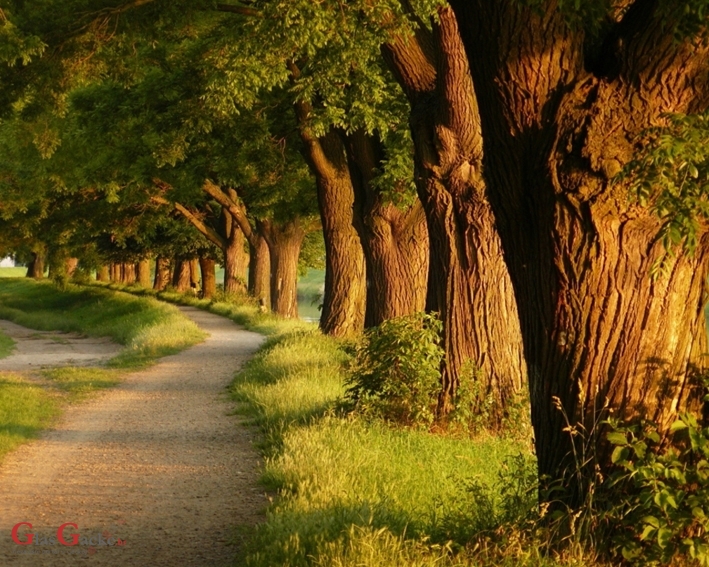 Za ruralni razvoj krediti uz kamatnu od 0,5 posto i bez naknada 
