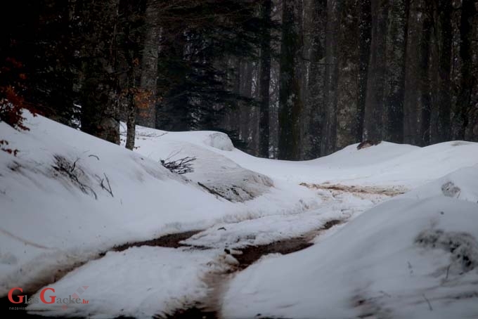 U NP Sjeverni Velebit ima snijega na cestama